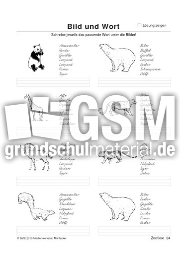 BuW Zootiere24.pdf